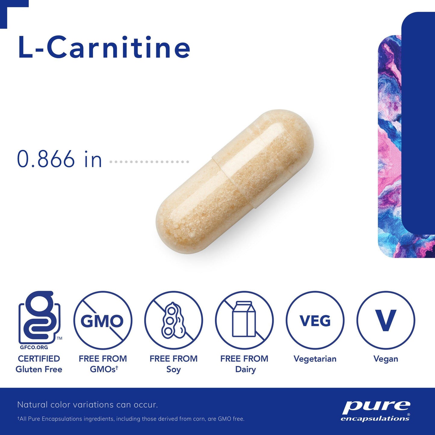 L-Carnitine 340mg 60 ct.