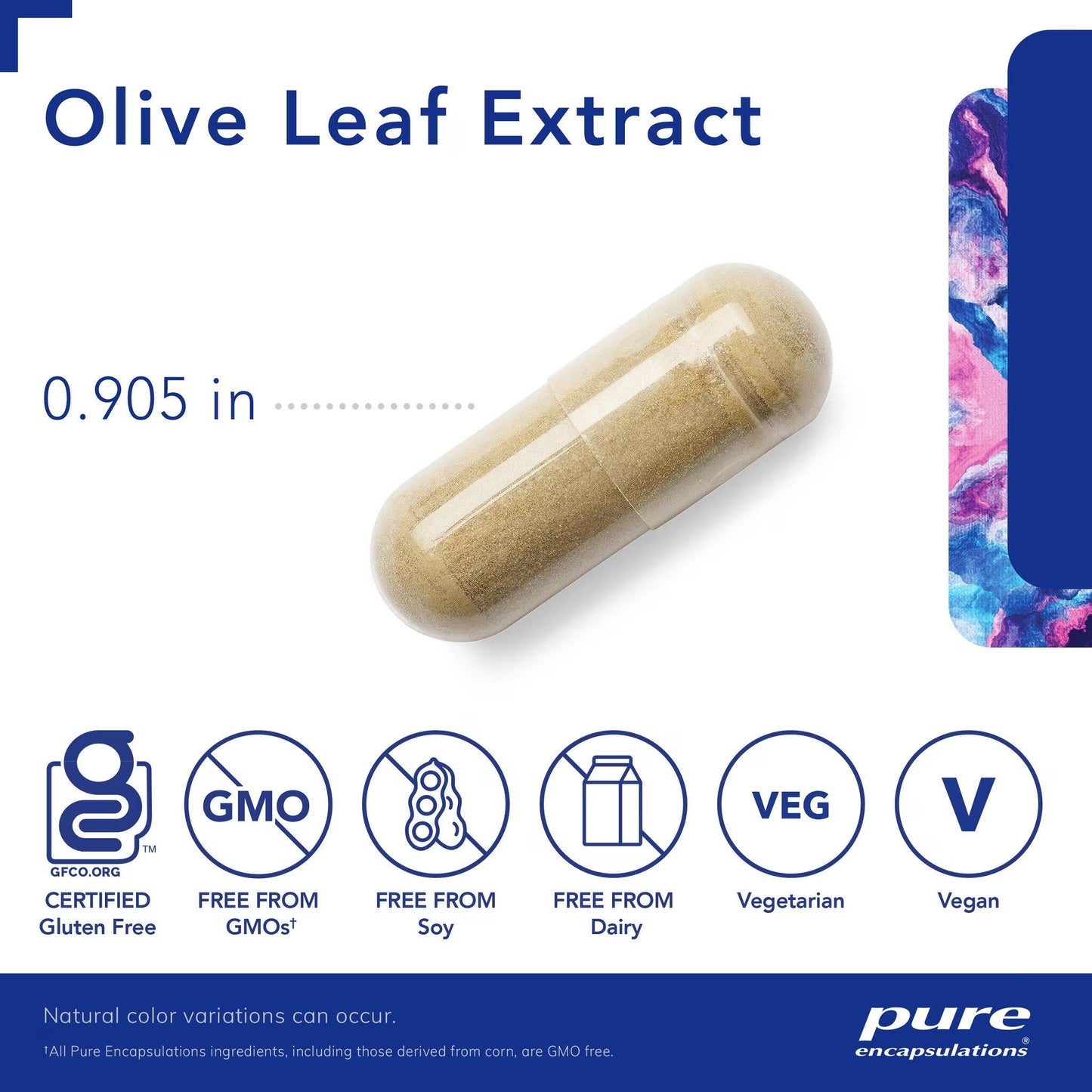 Olive Leaf Extract 120 ct.